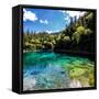 China 10MKm2 Collection - Beautiful Lake in the Jiuzhaigou National Park-Philippe Hugonnard-Framed Stretched Canvas