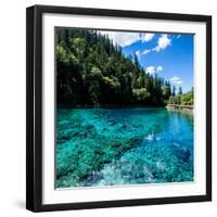 China 10MKm2 Collection - Beautiful Lake in the Jiuzhaigou National Park-Philippe Hugonnard-Framed Photographic Print