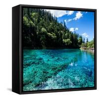 China 10MKm2 Collection - Beautiful Lake in the Jiuzhaigou National Park-Philippe Hugonnard-Framed Stretched Canvas