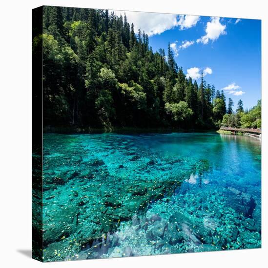 China 10MKm2 Collection - Beautiful Lake in the Jiuzhaigou National Park-Philippe Hugonnard-Stretched Canvas