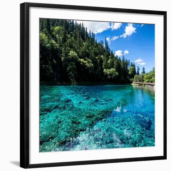 China 10MKm2 Collection - Beautiful Lake in the Jiuzhaigou National Park-Philippe Hugonnard-Framed Photographic Print