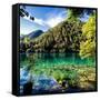 China 10MKm2 Collection - Beautiful Lake in the Jiuzhaigou National Park-Philippe Hugonnard-Framed Stretched Canvas