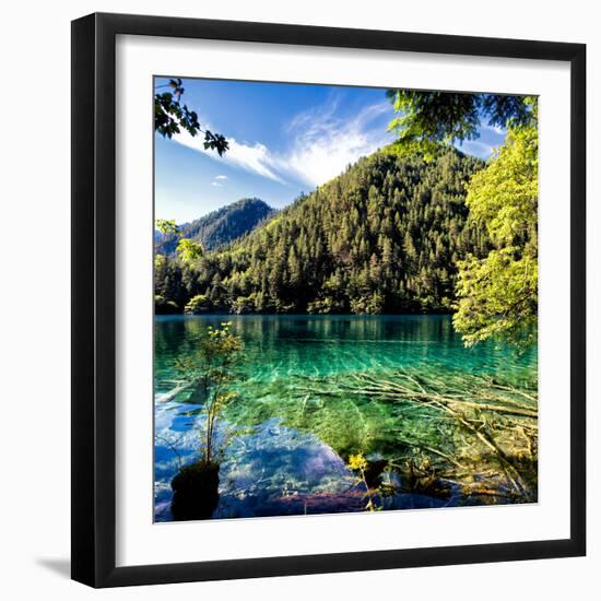 China 10MKm2 Collection - Beautiful Lake in the Jiuzhaigou National Park-Philippe Hugonnard-Framed Photographic Print