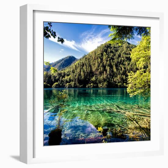 China 10MKm2 Collection - Beautiful Lake in the Jiuzhaigou National Park-Philippe Hugonnard-Framed Photographic Print