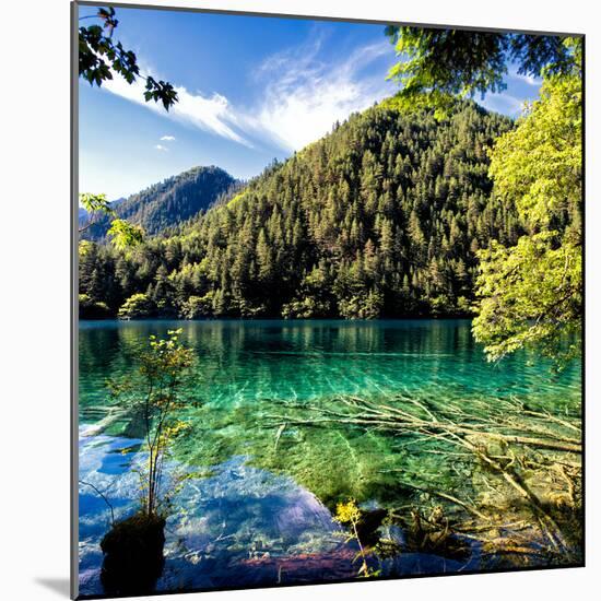 China 10MKm2 Collection - Beautiful Lake in the Jiuzhaigou National Park-Philippe Hugonnard-Mounted Photographic Print