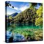 China 10MKm2 Collection - Beautiful Lake in the Jiuzhaigou National Park-Philippe Hugonnard-Stretched Canvas