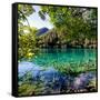 China 10MKm2 Collection - Beautiful Lake in the Jiuzhaigou National Park-Philippe Hugonnard-Framed Stretched Canvas