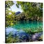 China 10MKm2 Collection - Beautiful Lake in the Jiuzhaigou National Park-Philippe Hugonnard-Stretched Canvas