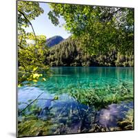 China 10MKm2 Collection - Beautiful Lake in the Jiuzhaigou National Park-Philippe Hugonnard-Mounted Photographic Print