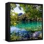 China 10MKm2 Collection - Beautiful Lake in the Jiuzhaigou National Park-Philippe Hugonnard-Framed Stretched Canvas