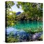 China 10MKm2 Collection - Beautiful Lake in the Jiuzhaigou National Park-Philippe Hugonnard-Stretched Canvas