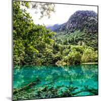 China 10MKm2 Collection - Beautiful Lake in the Jiuzhaigou National Park-Philippe Hugonnard-Mounted Photographic Print