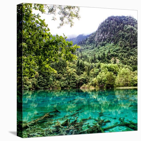 China 10MKm2 Collection - Beautiful Lake in the Jiuzhaigou National Park-Philippe Hugonnard-Stretched Canvas