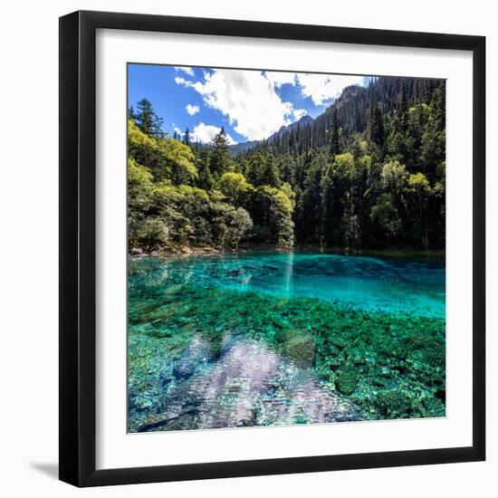 China 10MKm2 Collection - Beautiful Lake in the Jiuzhaigou National Park-Philippe Hugonnard-Framed Photographic Print