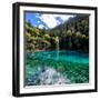 China 10MKm2 Collection - Beautiful Lake in the Jiuzhaigou National Park-Philippe Hugonnard-Framed Photographic Print