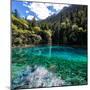 China 10MKm2 Collection - Beautiful Lake in the Jiuzhaigou National Park-Philippe Hugonnard-Mounted Photographic Print