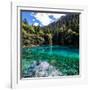 China 10MKm2 Collection - Beautiful Lake in the Jiuzhaigou National Park-Philippe Hugonnard-Framed Photographic Print