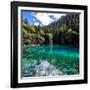 China 10MKm2 Collection - Beautiful Lake in the Jiuzhaigou National Park-Philippe Hugonnard-Framed Photographic Print