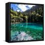 China 10MKm2 Collection - Beautiful Lake in the Jiuzhaigou National Park-Philippe Hugonnard-Framed Stretched Canvas