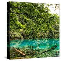 China 10MKm2 Collection - Beautiful Lake in the Jiuzhaigou National Park-Philippe Hugonnard-Stretched Canvas