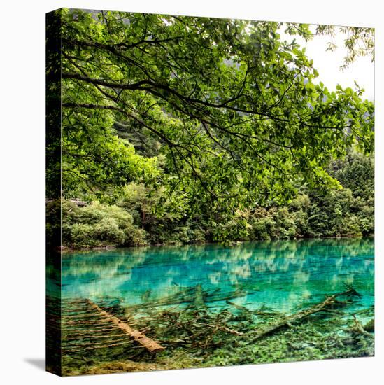 China 10MKm2 Collection - Beautiful Lake in the Jiuzhaigou National Park-Philippe Hugonnard-Stretched Canvas