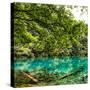 China 10MKm2 Collection - Beautiful Lake in the Jiuzhaigou National Park-Philippe Hugonnard-Stretched Canvas