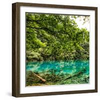 China 10MKm2 Collection - Beautiful Lake in the Jiuzhaigou National Park-Philippe Hugonnard-Framed Photographic Print