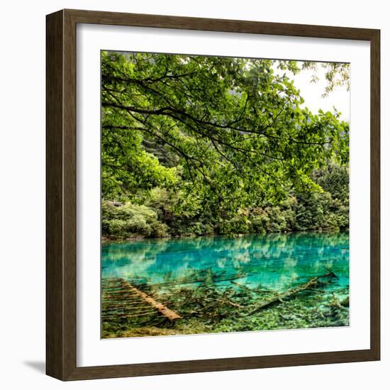 China 10MKm2 Collection - Beautiful Lake in the Jiuzhaigou National Park-Philippe Hugonnard-Framed Photographic Print