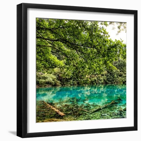 China 10MKm2 Collection - Beautiful Lake in the Jiuzhaigou National Park-Philippe Hugonnard-Framed Photographic Print