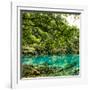 China 10MKm2 Collection - Beautiful Lake in the Jiuzhaigou National Park-Philippe Hugonnard-Framed Photographic Print