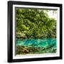 China 10MKm2 Collection - Beautiful Lake in the Jiuzhaigou National Park-Philippe Hugonnard-Framed Photographic Print