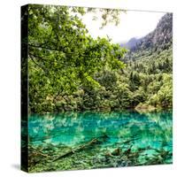 China 10MKm2 Collection - Beautiful Lake in the Jiuzhaigou National Park-Philippe Hugonnard-Stretched Canvas