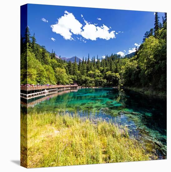 China 10MKm2 Collection - Beautiful Lake in the Jiuzhaigou National Park-Philippe Hugonnard-Stretched Canvas