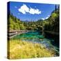 China 10MKm2 Collection - Beautiful Lake in the Jiuzhaigou National Park-Philippe Hugonnard-Stretched Canvas