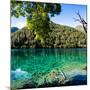 China 10MKm2 Collection - Beautiful Lake in the Jiuzhaigou National Park-Philippe Hugonnard-Mounted Photographic Print