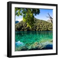 China 10MKm2 Collection - Beautiful Lake in the Jiuzhaigou National Park-Philippe Hugonnard-Framed Photographic Print