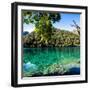 China 10MKm2 Collection - Beautiful Lake in the Jiuzhaigou National Park-Philippe Hugonnard-Framed Photographic Print