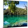 China 10MKm2 Collection - Beautiful Lake in the Jiuzhaigou National Park-Philippe Hugonnard-Mounted Photographic Print