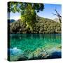 China 10MKm2 Collection - Beautiful Lake in the Jiuzhaigou National Park-Philippe Hugonnard-Stretched Canvas