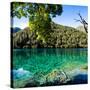 China 10MKm2 Collection - Beautiful Lake in the Jiuzhaigou National Park-Philippe Hugonnard-Stretched Canvas