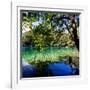 China 10MKm2 Collection - Beautiful Lake in the Jiuzhaigou National Park-Philippe Hugonnard-Framed Photographic Print