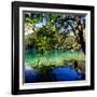 China 10MKm2 Collection - Beautiful Lake in the Jiuzhaigou National Park-Philippe Hugonnard-Framed Photographic Print