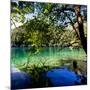 China 10MKm2 Collection - Beautiful Lake in the Jiuzhaigou National Park-Philippe Hugonnard-Mounted Photographic Print