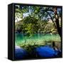 China 10MKm2 Collection - Beautiful Lake in the Jiuzhaigou National Park-Philippe Hugonnard-Framed Stretched Canvas