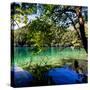 China 10MKm2 Collection - Beautiful Lake in the Jiuzhaigou National Park-Philippe Hugonnard-Stretched Canvas