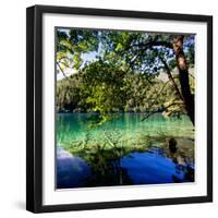 China 10MKm2 Collection - Beautiful Lake in the Jiuzhaigou National Park-Philippe Hugonnard-Framed Photographic Print