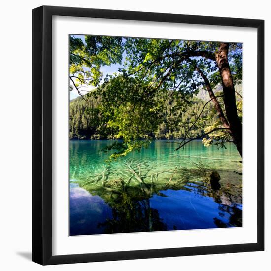 China 10MKm2 Collection - Beautiful Lake in the Jiuzhaigou National Park-Philippe Hugonnard-Framed Photographic Print