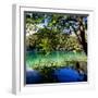 China 10MKm2 Collection - Beautiful Lake in the Jiuzhaigou National Park-Philippe Hugonnard-Framed Photographic Print