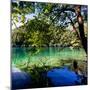 China 10MKm2 Collection - Beautiful Lake in the Jiuzhaigou National Park-Philippe Hugonnard-Mounted Photographic Print