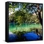 China 10MKm2 Collection - Beautiful Lake in the Jiuzhaigou National Park-Philippe Hugonnard-Framed Stretched Canvas